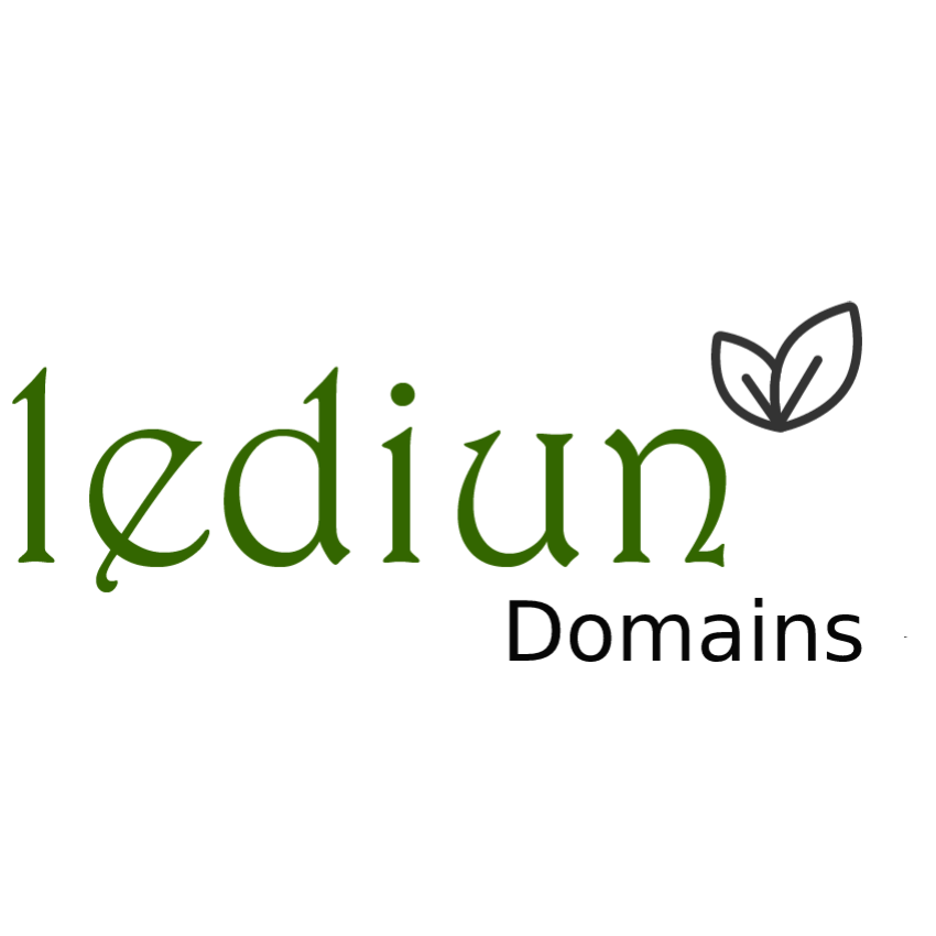 Giới thiệu dịch vụ tên miền tại Lediun Domains